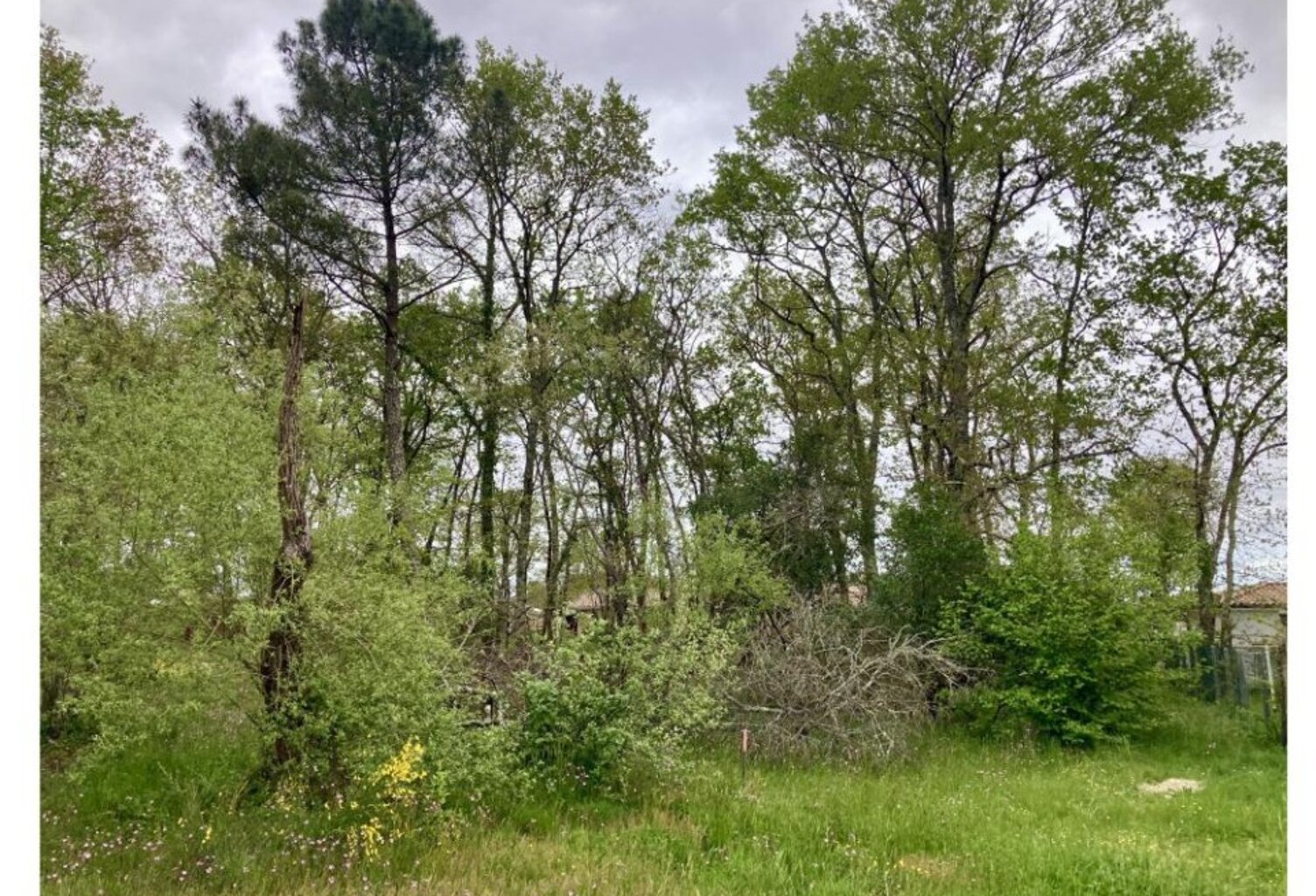 Terrain à bâtir à Saint-Médard-en-Jalles (33160) — photo 1