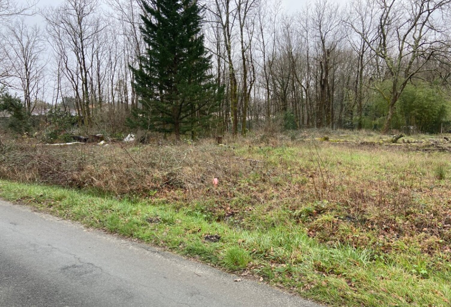 Terrain à bâtir à Saint-Selve (33650) — photo 1