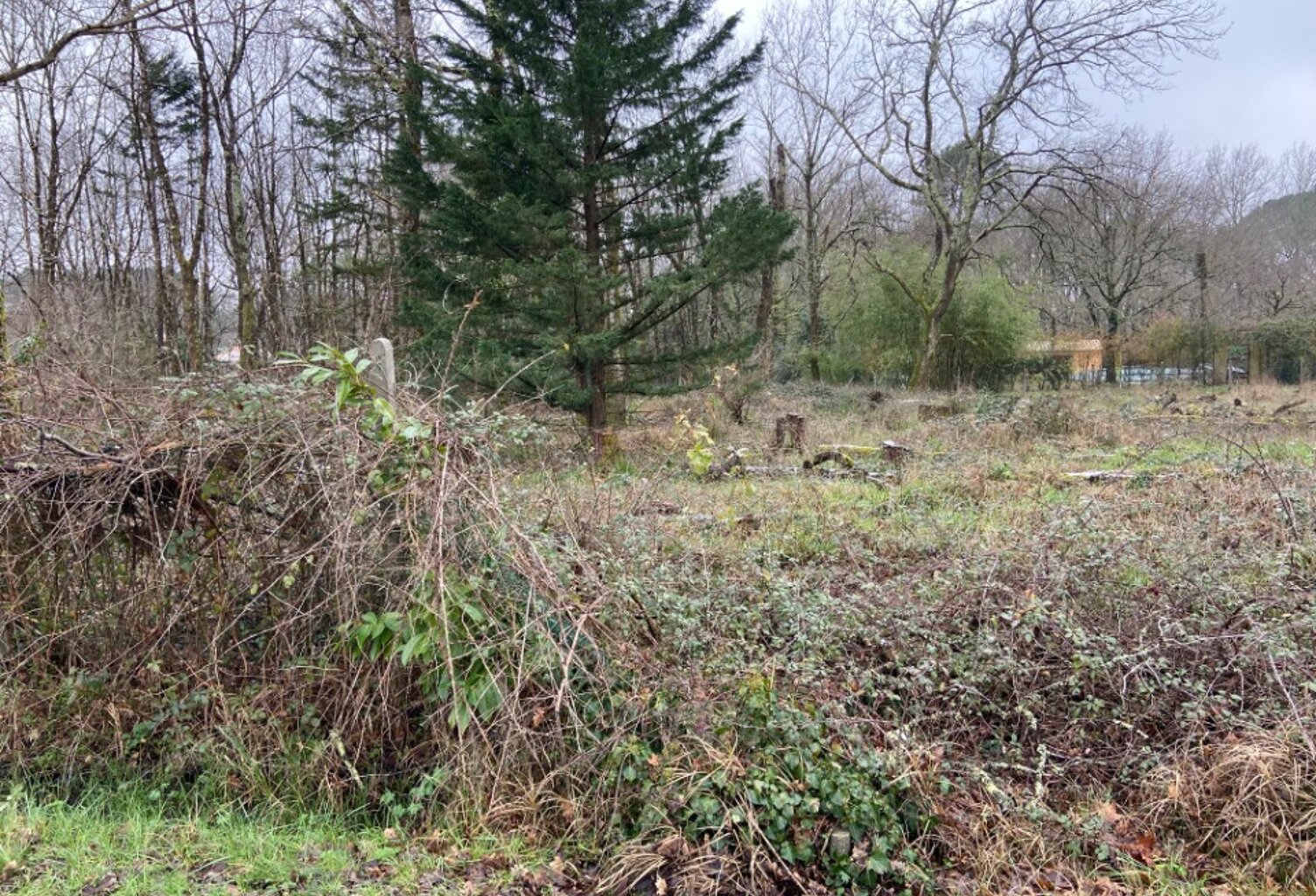 Terrain à bâtir à La Brède (33650) — photo 1