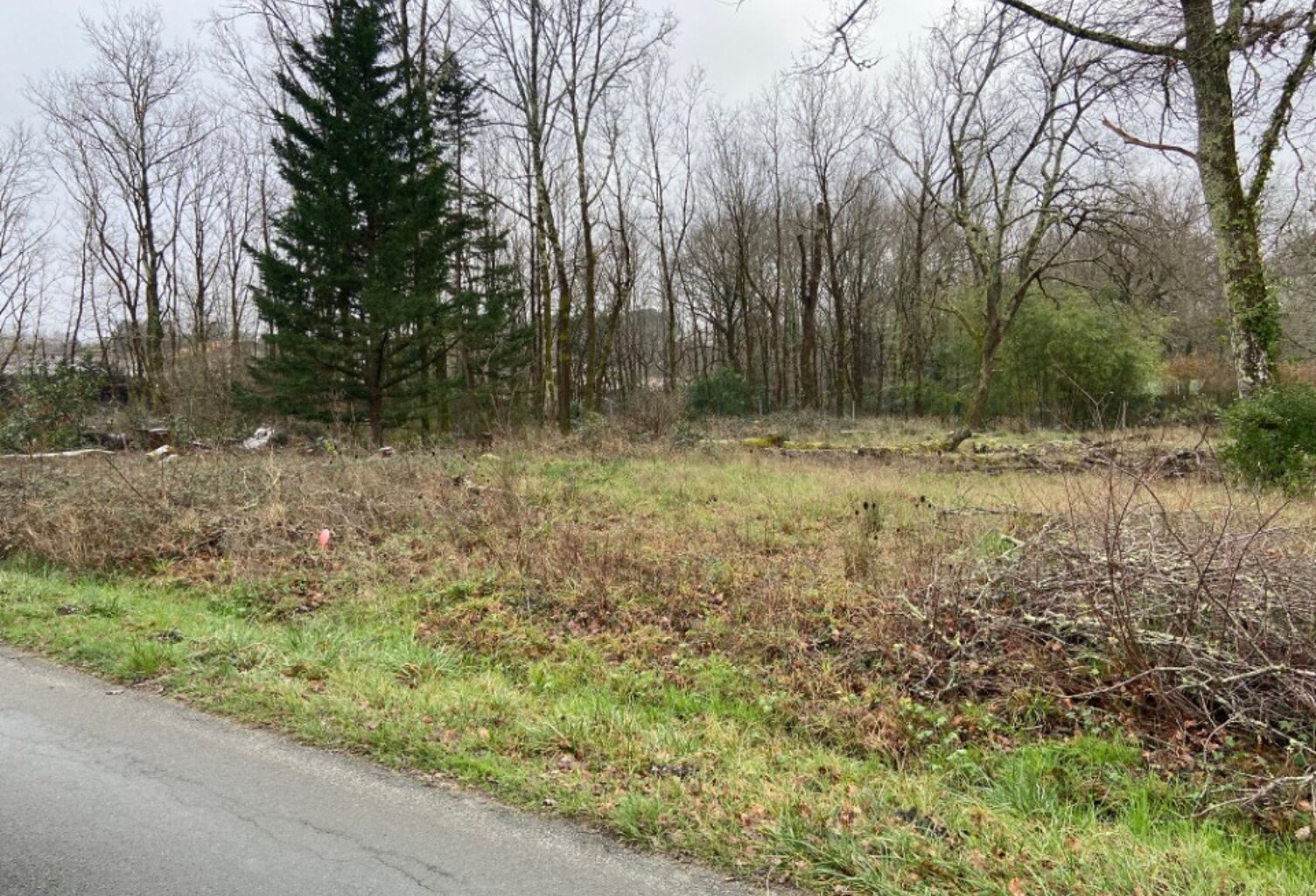 Terrain à bâtir à Saucats (33650) — photo 1