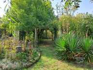 Mennevret (02) -- Belle maison de charme au calme absolu, en — photo 3