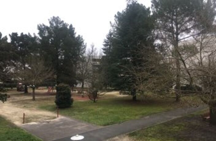 T4 — photo 5