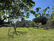Grande maison avec terrasse, terrain de 2 500 m2 — photo 4
