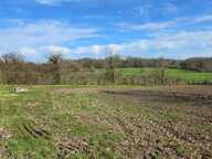 TERRAIN PLAT - CALME - ENVIRONNEMENT CAMPAGNE — photo 3