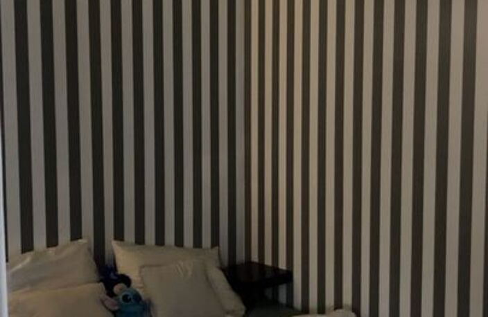 Appartement de 34m2 à louer sur Loos — photo 4