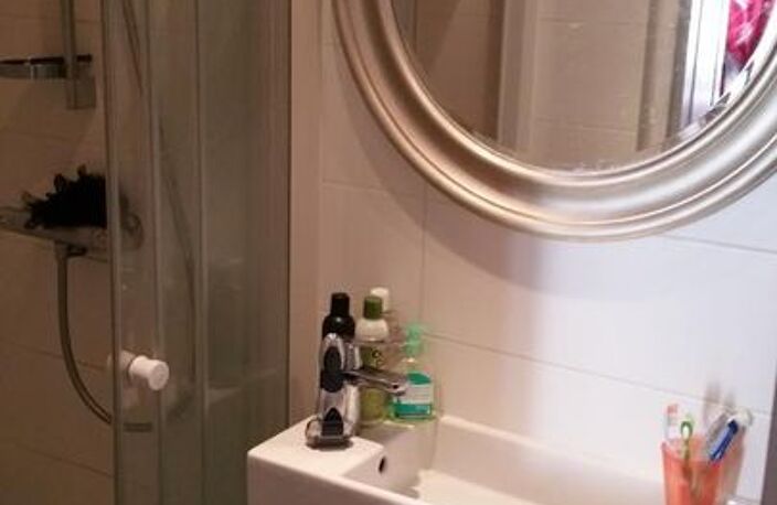 Appartement de 42m2 à louer sur Grenoble — photo 4