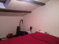 Appartement de 45m2 à louer sur Albi — photo 3