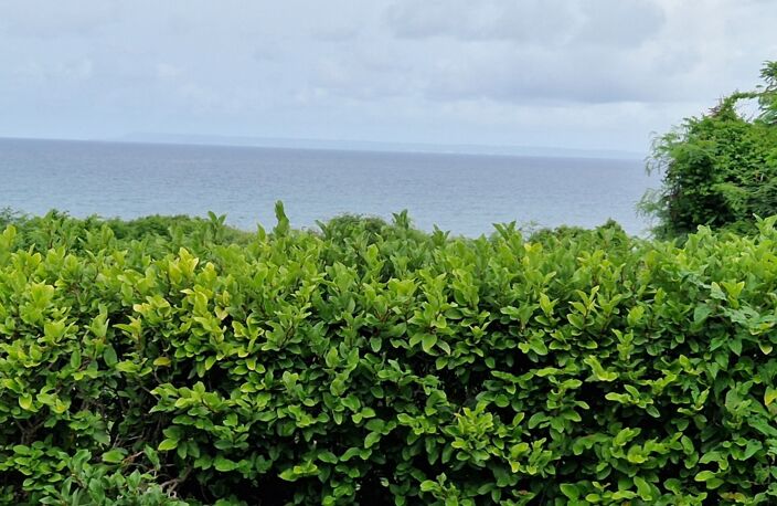Superbe villa VUE MER avec bungalow et piscine sur plus de 1000 m² de terrain — photo 3