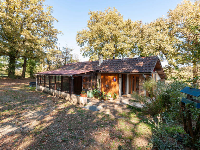 Vielle-Tursan – Une maisonnette singulière au cœur d’un terrain boisé de 4 800 m² — photo 1