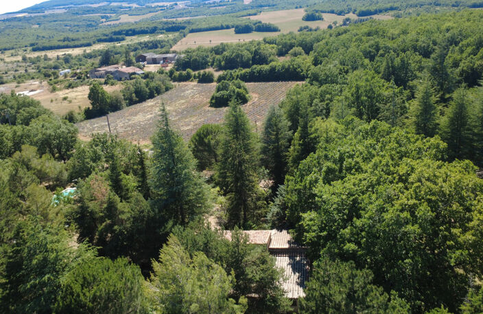 SOUS OFFRE - Maison de campagne au cœur de la nature — photo 2