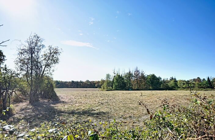 Maison de 230 m2 sur 763 m2 de parcelle à AUXY (71) — photo 2