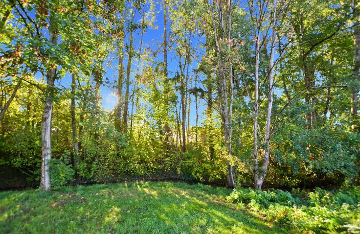 Maison en pierres de 250 m2 avec terrain 4401 m2 à SAINT MAURICE LES COUCHES (71) — photo 4