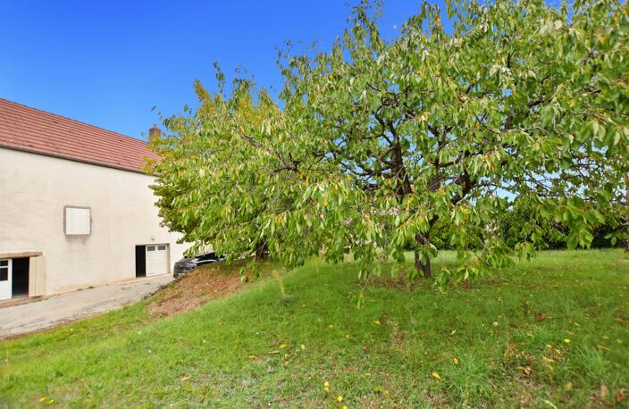 Maison de 130 m2 sur 1012 m2 de terrain à SAINT JEAN DE TREZY (71) — photo 5