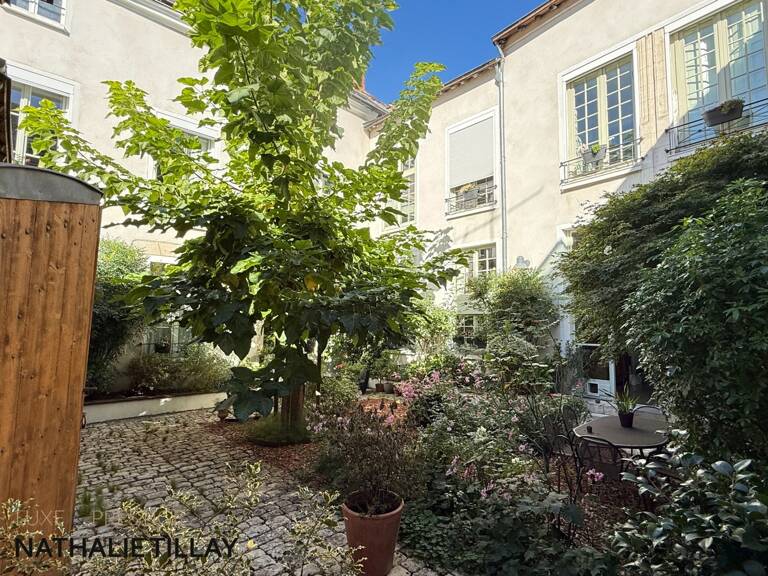 Orleans centre historique, maison hotel particulier, a vendre,  jardin et dependances — photo 1