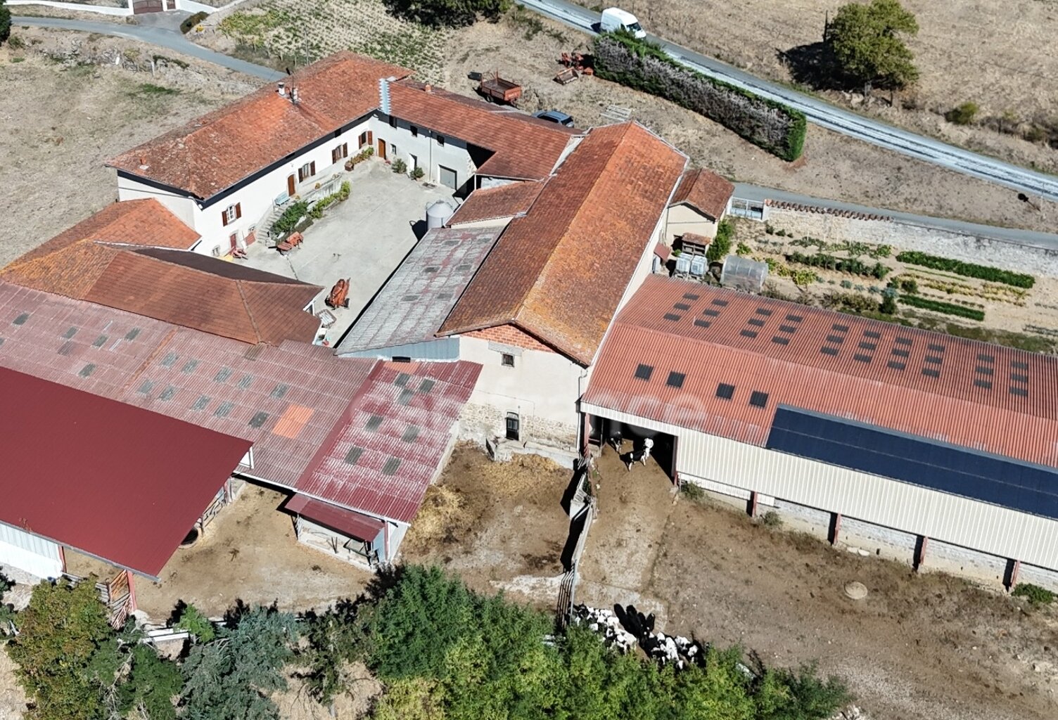 Corps de ferme à vendre 8 pièces 202 m²  6 ha COTTANCE (42) — photo 1