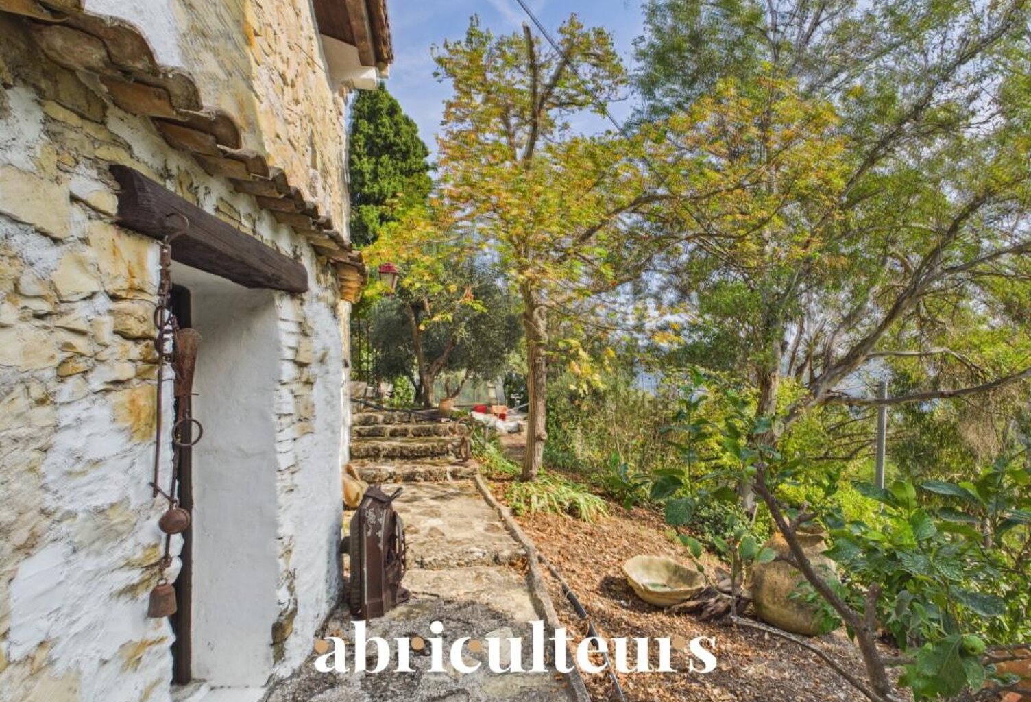 Cantaron – Propriété d'artistes à fort potentiel au cœur de 1,4 ha de verdure — photo 1