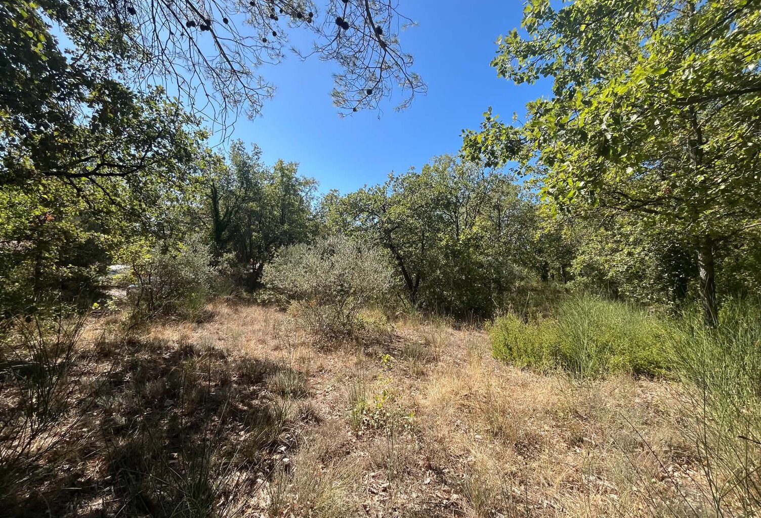 Vente terrain à construire 5000 m² Seillons-Source-d'Argens (83470) — photo 1