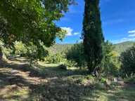 ARDÈCHE - AUTHENTIQUE MAISON EN PIERRE  AVEC 2 RUINES — photo 4