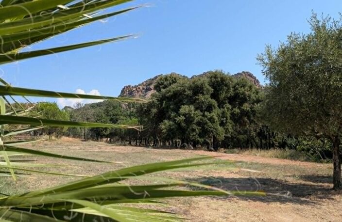 Au pied du Rocher - Bergerie rénovée de 160 m² au coeur de 1,4 hectare de nature — photo 4