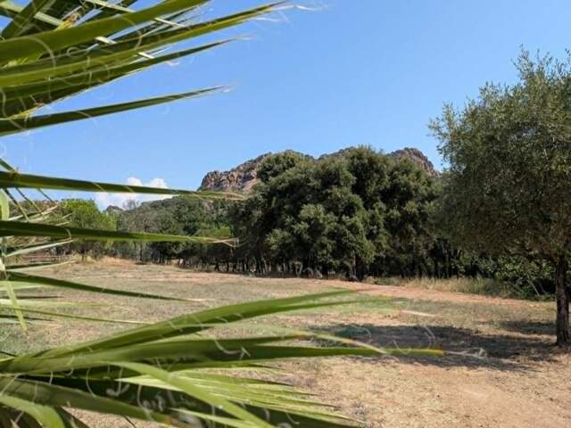 Au pied du Rocher - Bergerie rénovée de 160 m² au coeur de 1,4 hectare de nature — photo du bien