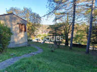 Maison spacieuse avec son appartement indépendant — photo 3