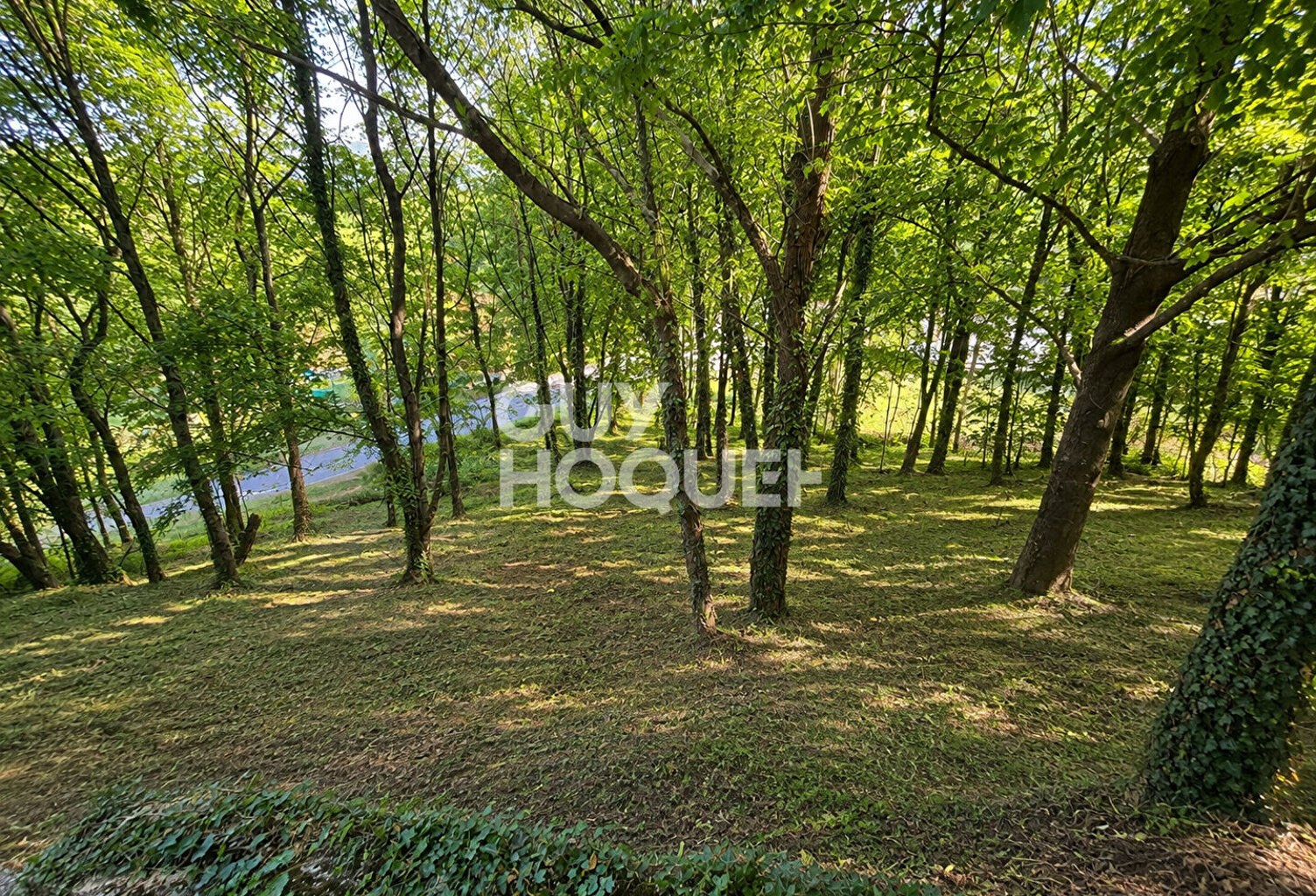 Terrain Thueyts 1431 m2 — photo 1