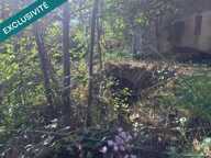 PROPRIETE D EXEPTION AVEC MOULIN A EAU, MAISON, BOURRINE ET GRANGE AVEC 6 HECTARES — photo 3