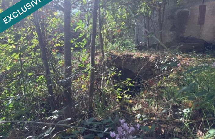PROPRIETE D EXEPTION AVEC MOULIN A EAU, MAISON, BOURRINE ET GRANGE AVEC 6 HECTARES — photo 3