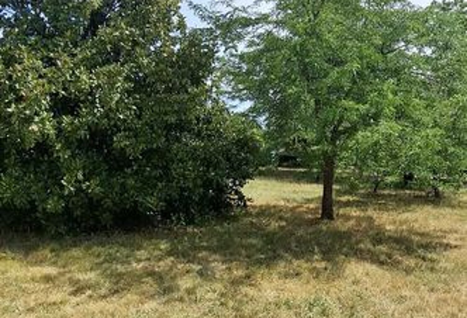 À vendre terrain de 800m2 constructible viabilisé 98000euros — photo 1