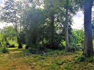 Vente Terrain à bâtir 4 500 m&sup2; — photo 4