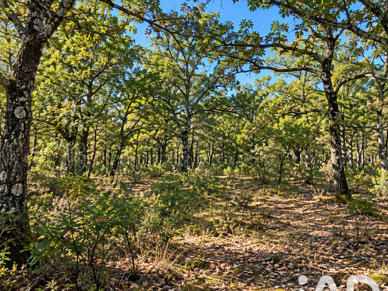Vente Terrain 27 488 m&sup2; — photo 1