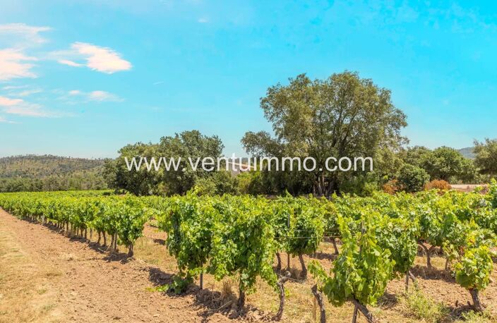 LA GARDE-FREINET : propriété viticole avec maison — photo 2