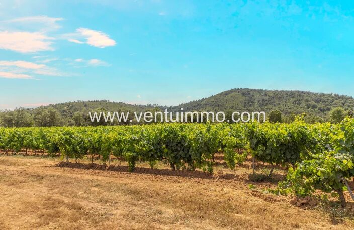 LA GARDE-FREINET : propriété viticole avec maison — photo 5