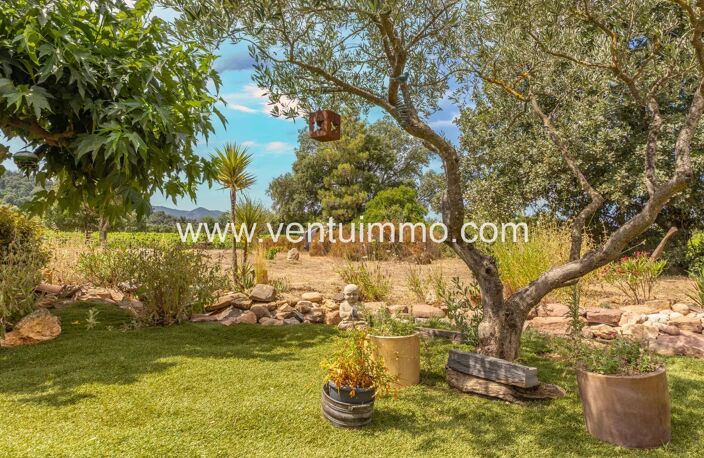 LA GARDE-FREINET :  maison & terrain 14000m2 — photo 5