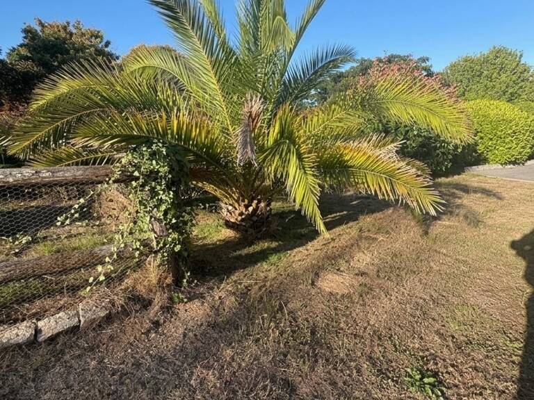 Vente Maison/villa 7 pièces — photo 1