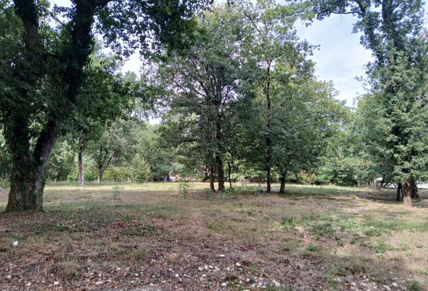 Terrain à bâtir à Notre-Dame-de-Sanilhac (24660) — photo 1