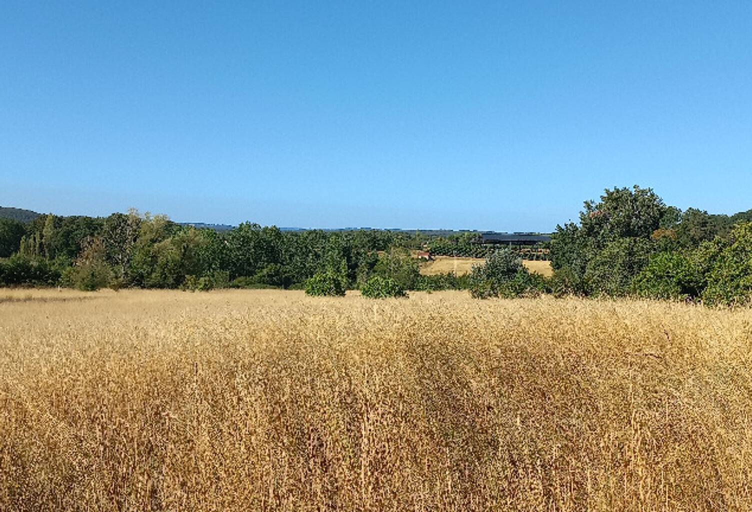 Terrain à bâtir à Villefranche-de-Lonchat (24610) — photo 1