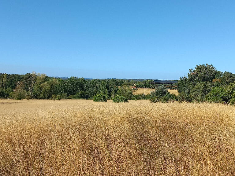 Terrain à bâtir à Villefranche-de-Lonchat (24610) — photo 1