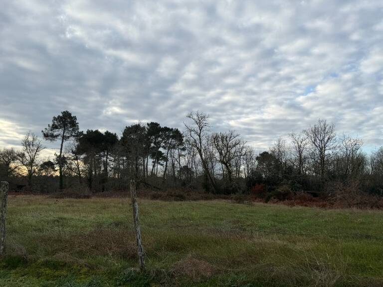 Terrain à bâtir à Balizac (33730) — photo 1