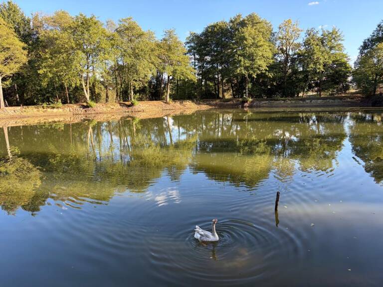 CHATEAU GUIBERT (85) CADRE IDYLLIQUE PARCELLE BOISEE DE LOISIR AVEC ETANG POISSONNEUX SUR 13000M² CLOS — photo 1