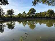 CHATEAU GUIBERT (85) CADRE IDYLLIQUE PARCELLE BOISEE DE LOISIR AVEC ETANG POISSONNEUX SUR 13000M² CLOS — photo 2