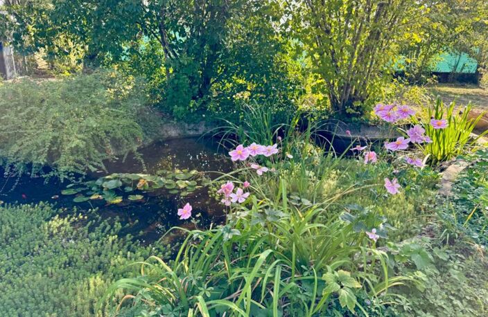 Longère Périgourdine de charme (24) — photo 2
