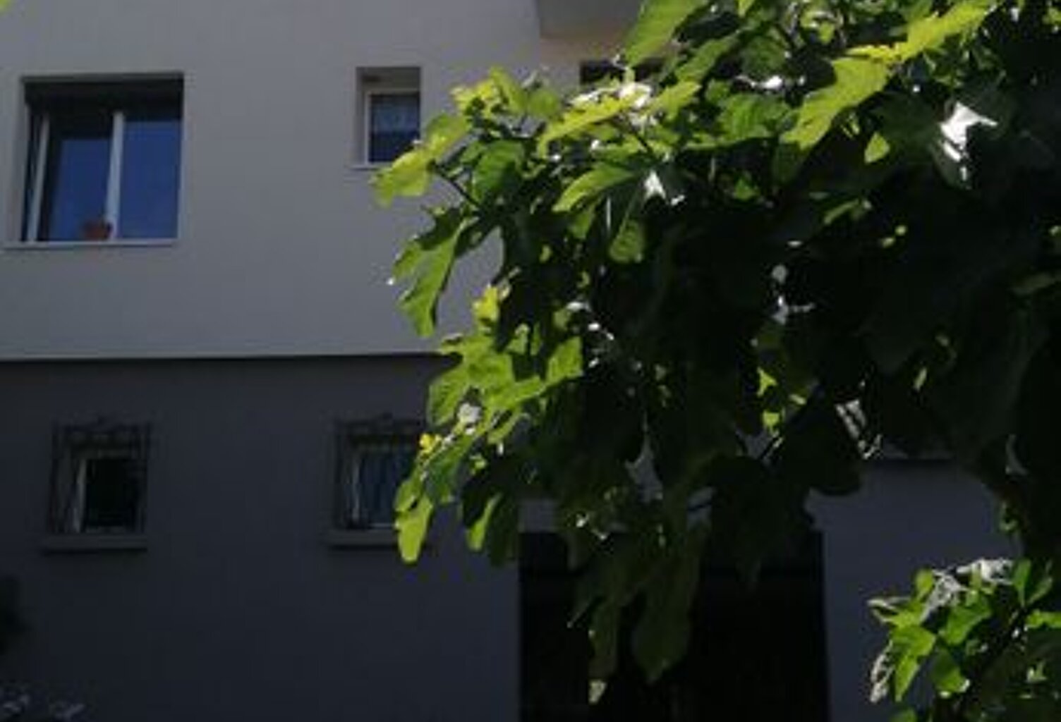 Appartement de 28m2 à louer sur Besançon — photo 1