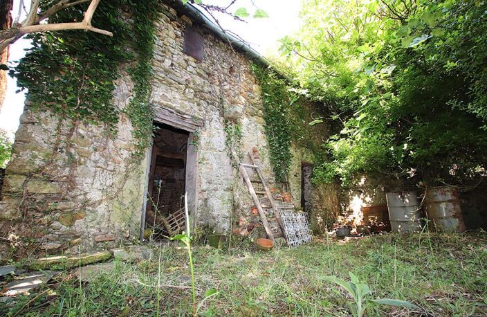 RARE - Demeure de caractère de 300 m² à rénover sur 5 385 m² de terrain — photo 5