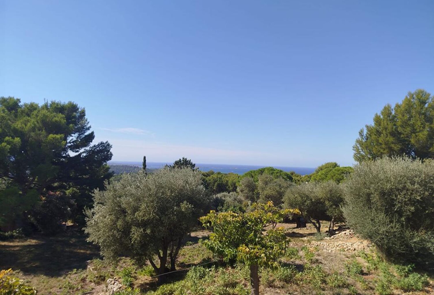 Grande villa Ollioules gros cerveau avec vue sur la mer — photo 1