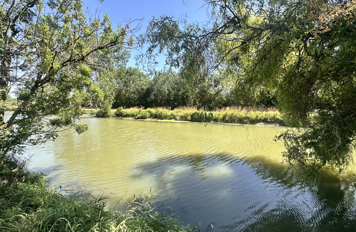 Charmante maison au coeur du Marais, au bord de l'eau — photo 5
