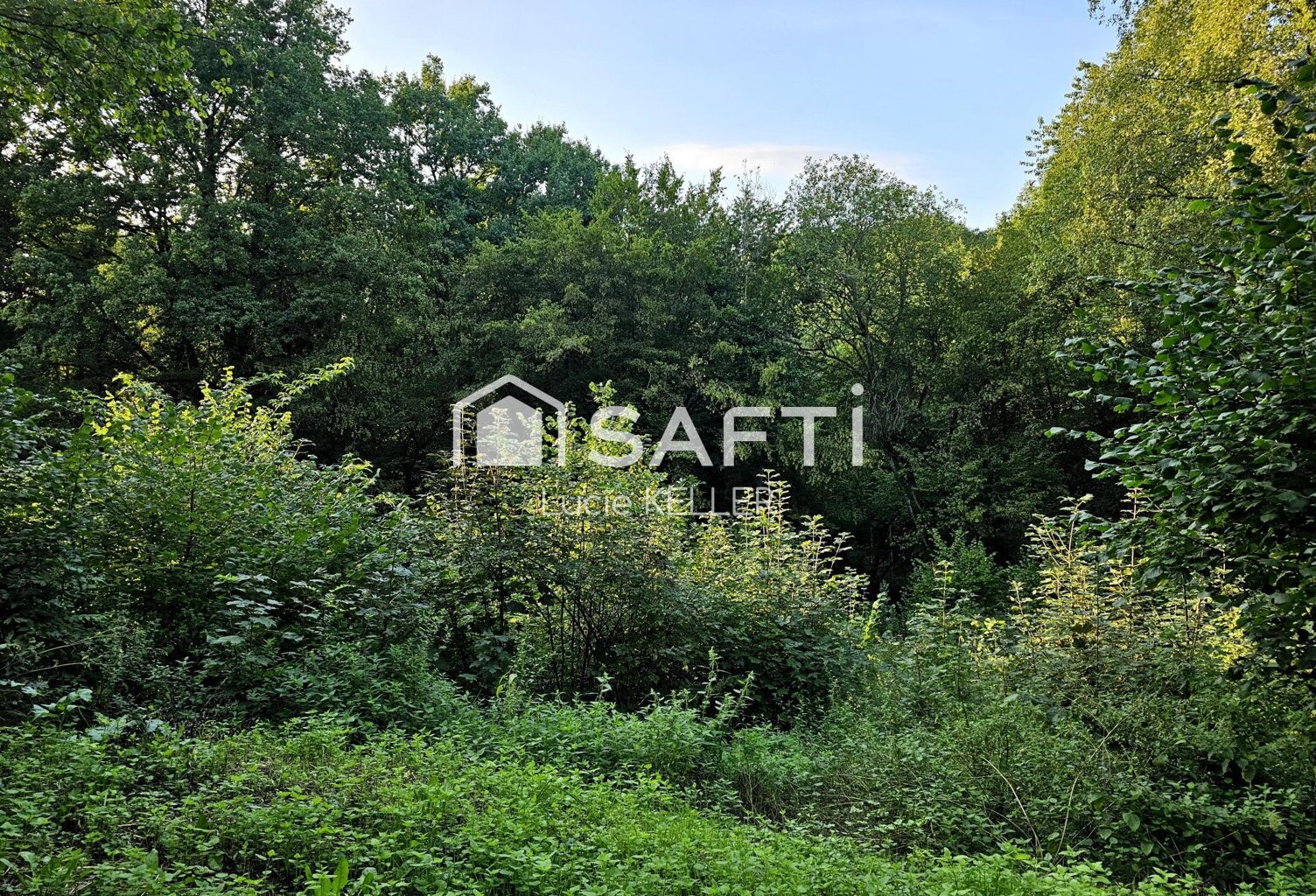 Magnifique terrain de 38 ares 90 — photo 1