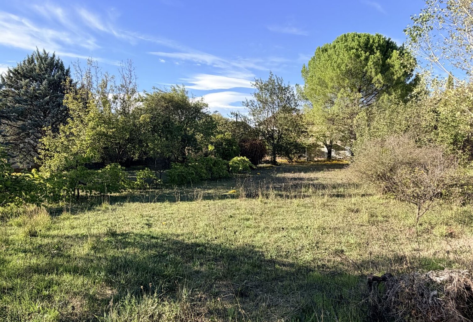 Terrain 800 m2 — photo 1