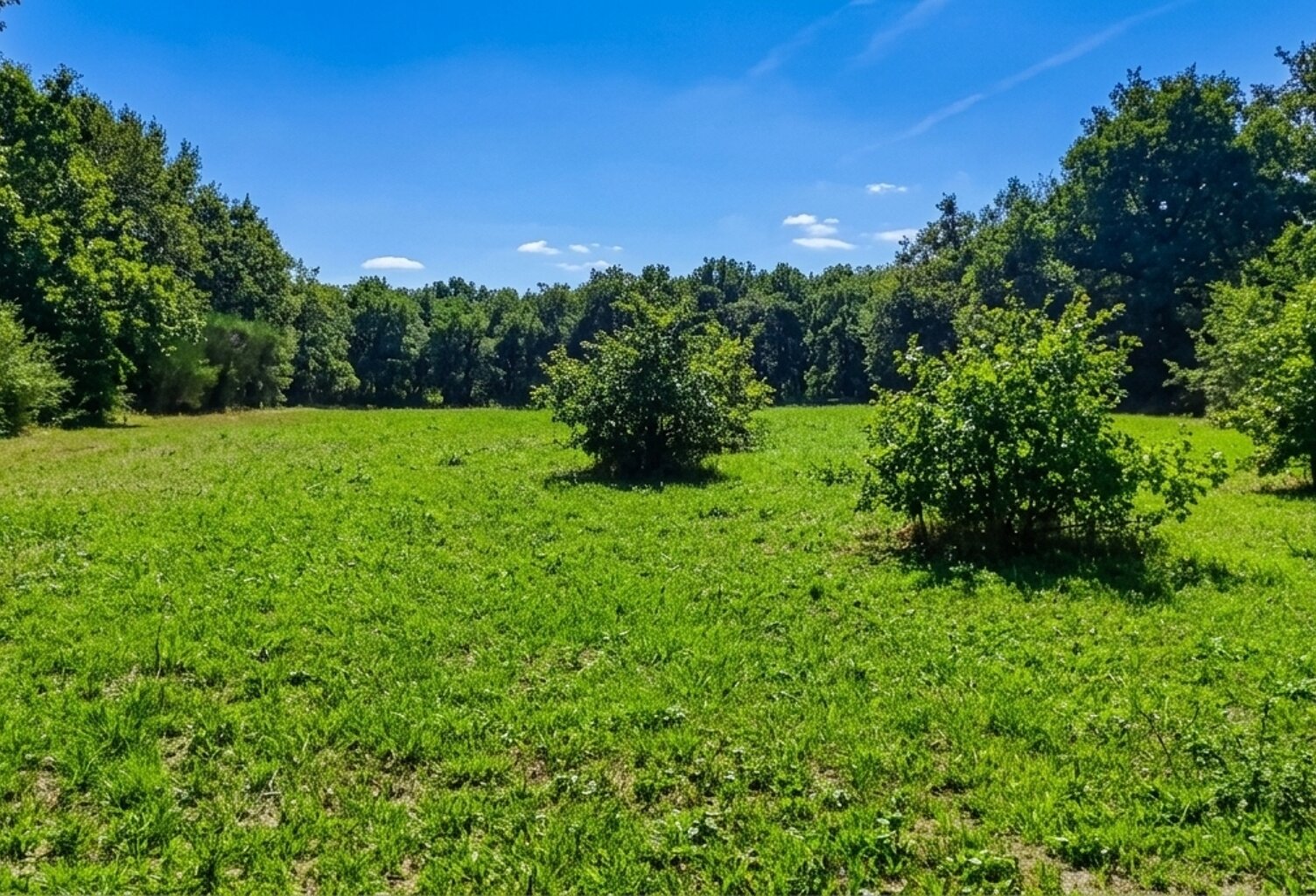 Terrain de loisir de 3 000 m² au calme — photo 1