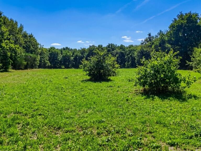 Terrain de loisir de 3 000 m² au calme — photo 1
